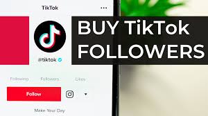 How Can We Get Followers on Instagram and TikTok in 2022?