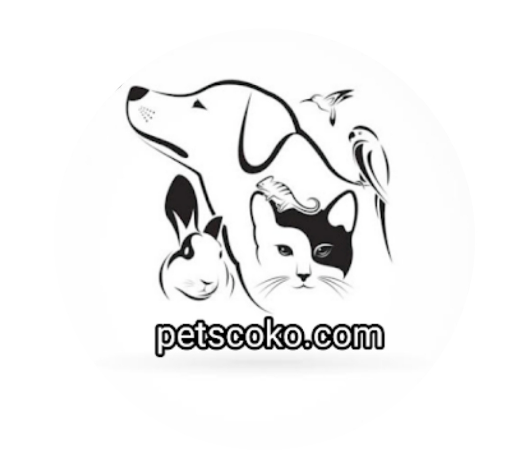 5 Reasons To Use Petscoko.com As Your Go-To Resource For Dog Training